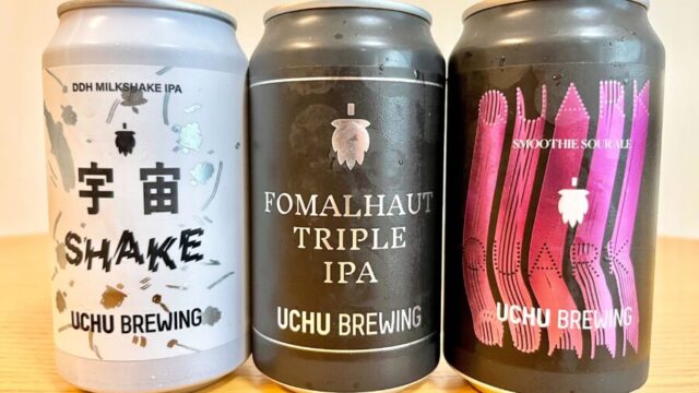 宇宙ビール ミルキーウェイ×10本 宇宙ブルーイング - ビール